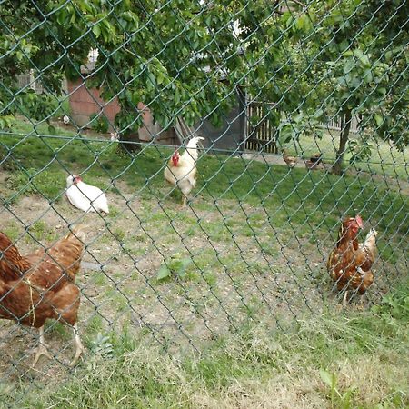 Ferienhof Jungkunz Apartment Schwarzenbach am Wald Ngoại thất bức ảnh